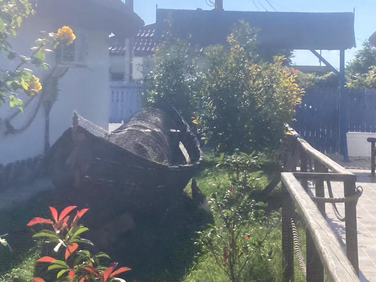 Casa Soarelui Hotel Murighiol Kültér fotó