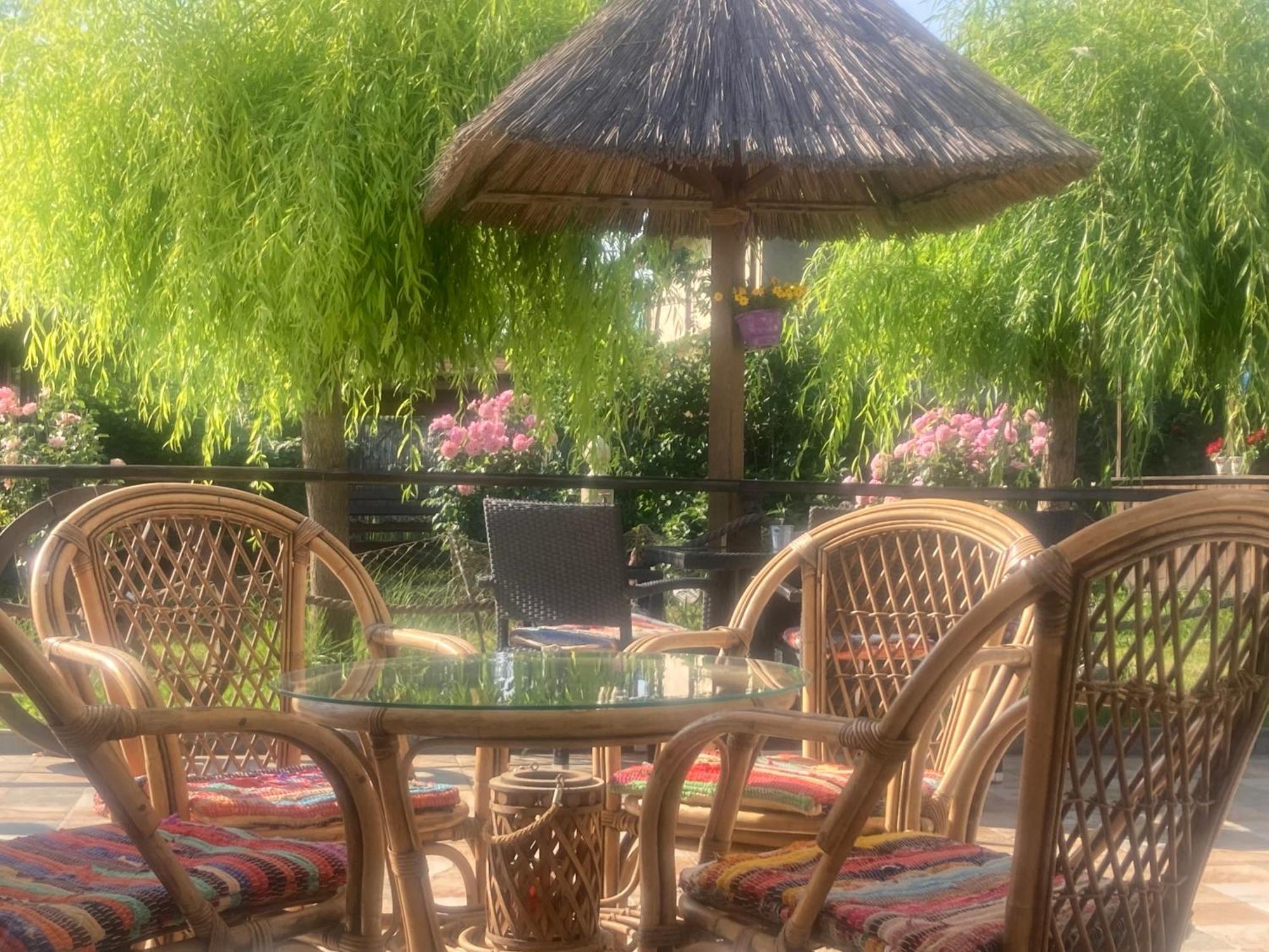 Casa Soarelui Hotel Murighiol Kültér fotó