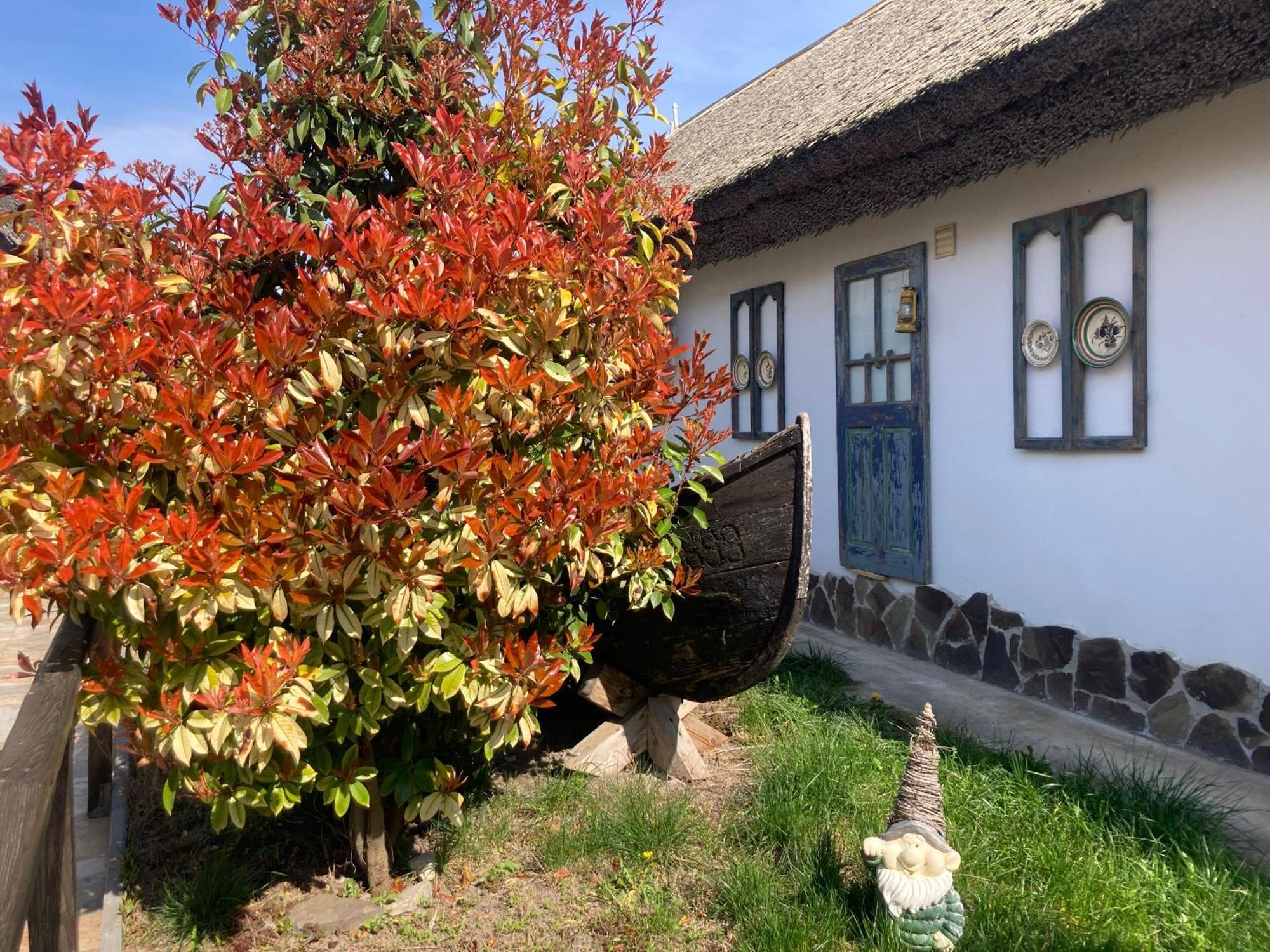 Casa Soarelui Hotel Murighiol Kültér fotó